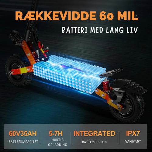 Elarvexo